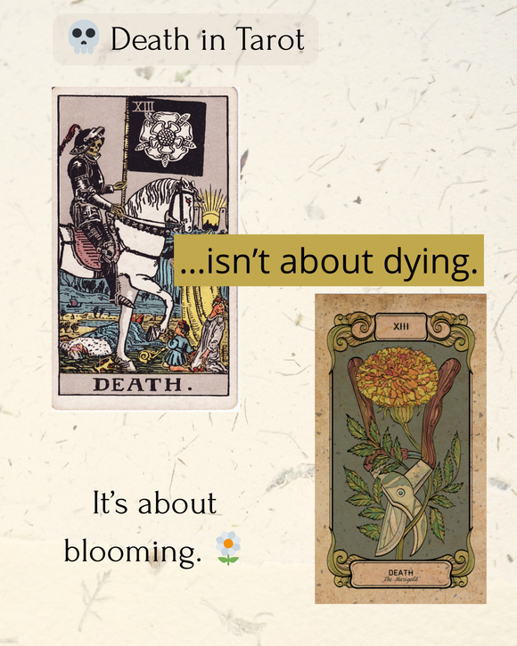 Death XIII, Two Ways: Rider–Waite vs. the Floral Marigold (A Deep-Dive for Tarot Readers)