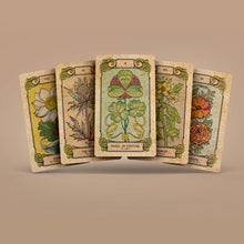 Load image into Gallery viewer, Botanica Oculta Tarot Deck Antique Edition 80 Cards
