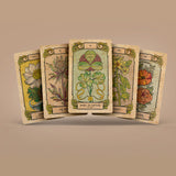 Jeu de cartes de tarot Botanica Oculta 78 + 2 cartes supplémentaires