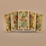 Jeu de cartes de tarot Botanica Oculta 78 + 2 cartes supplémentaires