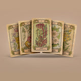 Botanica Oculta Tarot Cards Deck 78+2 Extra Cards with Guidebook