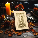 Baraja de tarot Regal Shadows con 78 cartas adicionales y guía