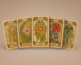 Botanica Oculta Tarot Deck — card spread