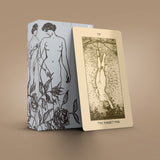 Regal Shadows Tarot Deck 78+2 Extra Cards with Guidebook