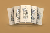 Yoni Tarot Deck 78 Cards with Guidebook